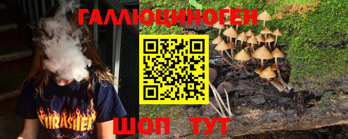 Галлюциногенные грибы прущие грибы  Вход с VPN  Галлюциногенные грибы Psilocybe  Полысаево 